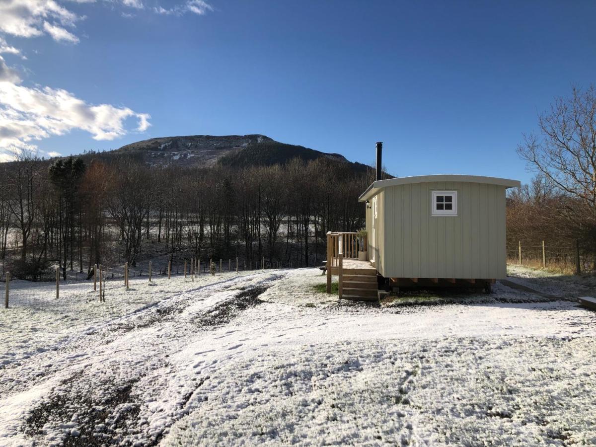 Rosemary Shepherds Hut, Clay Bank Huts Ingleby Greenhow Exterior foto